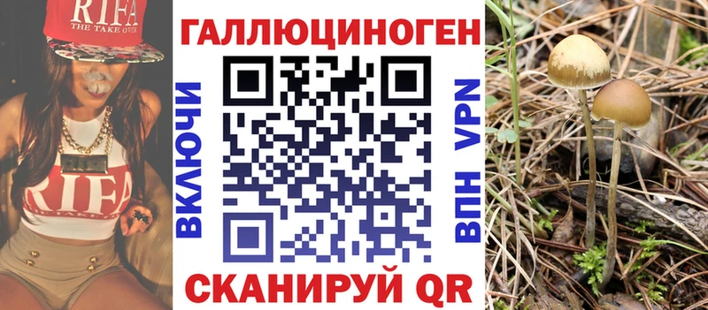 наркота  нарко площадка наркотические препараты  Галлюциногенные грибы Magic Shrooms  Шагонар  hydra ТОР 